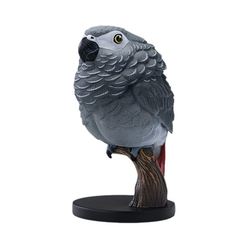 Animal heavenly body parrot - animal,