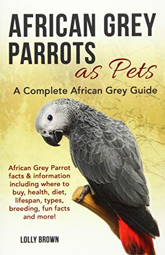 African grey parrots pets - as,