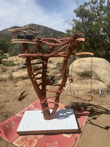 Manzanita bird perch - bird, for